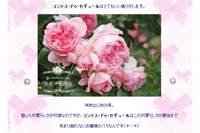 170326-03.jpg