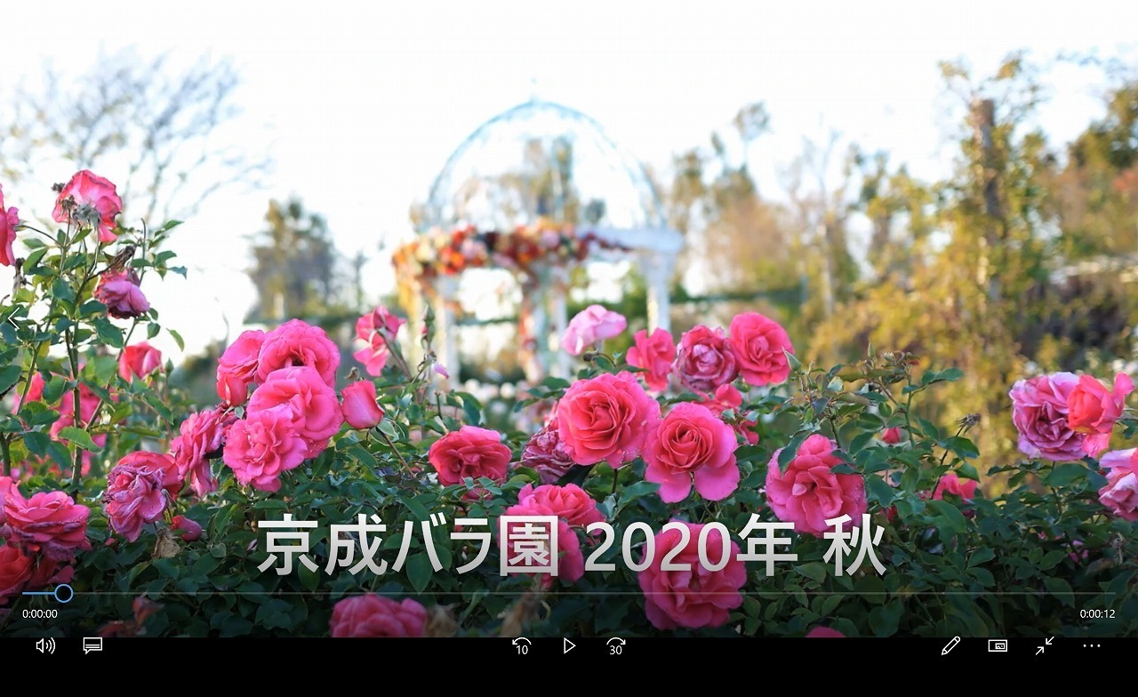 201202-1-s.jpg